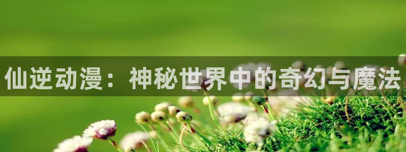 火狼动漫网下载：仙逆动漫：神秘世界中的奇幻与魔法