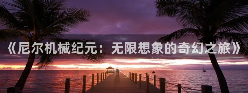 火狼动漫网站在线观看：《尼尔机械纪元：无限想象的奇幻之旅》