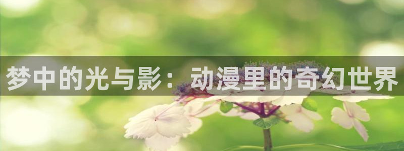 火狼动漫官网pro：梦中的光与影：动漫里的奇幻世界